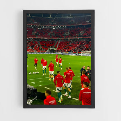 ap-hungary national football team-2 cadre Noir
