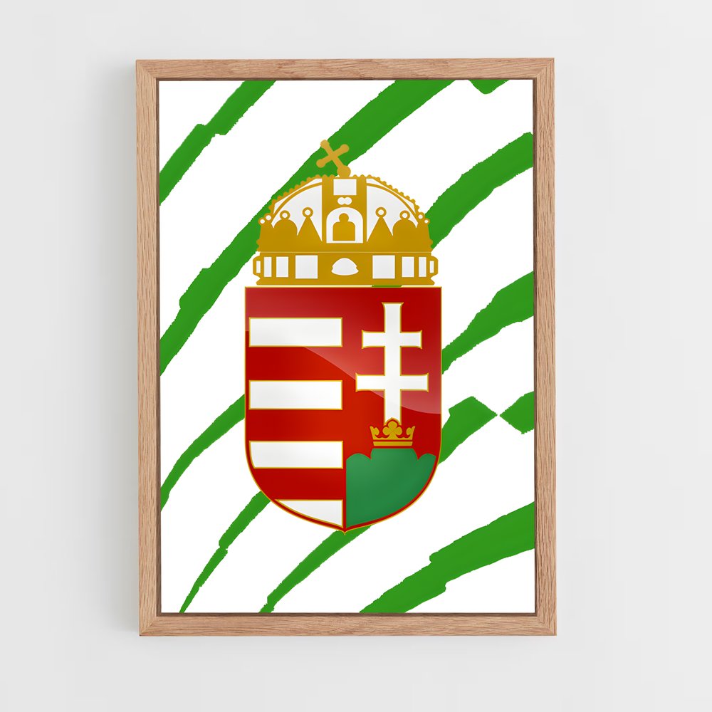 ap-hungary national football team-6 cadre Bois clair