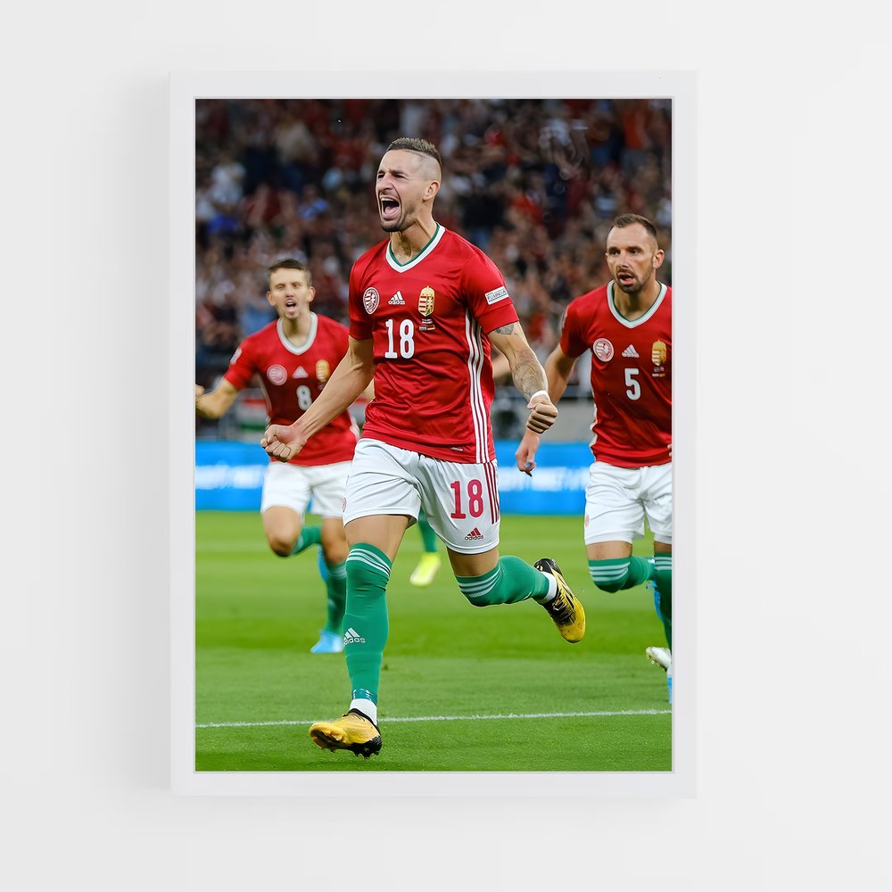 ap-hungary national football team-8 cadre Blanc