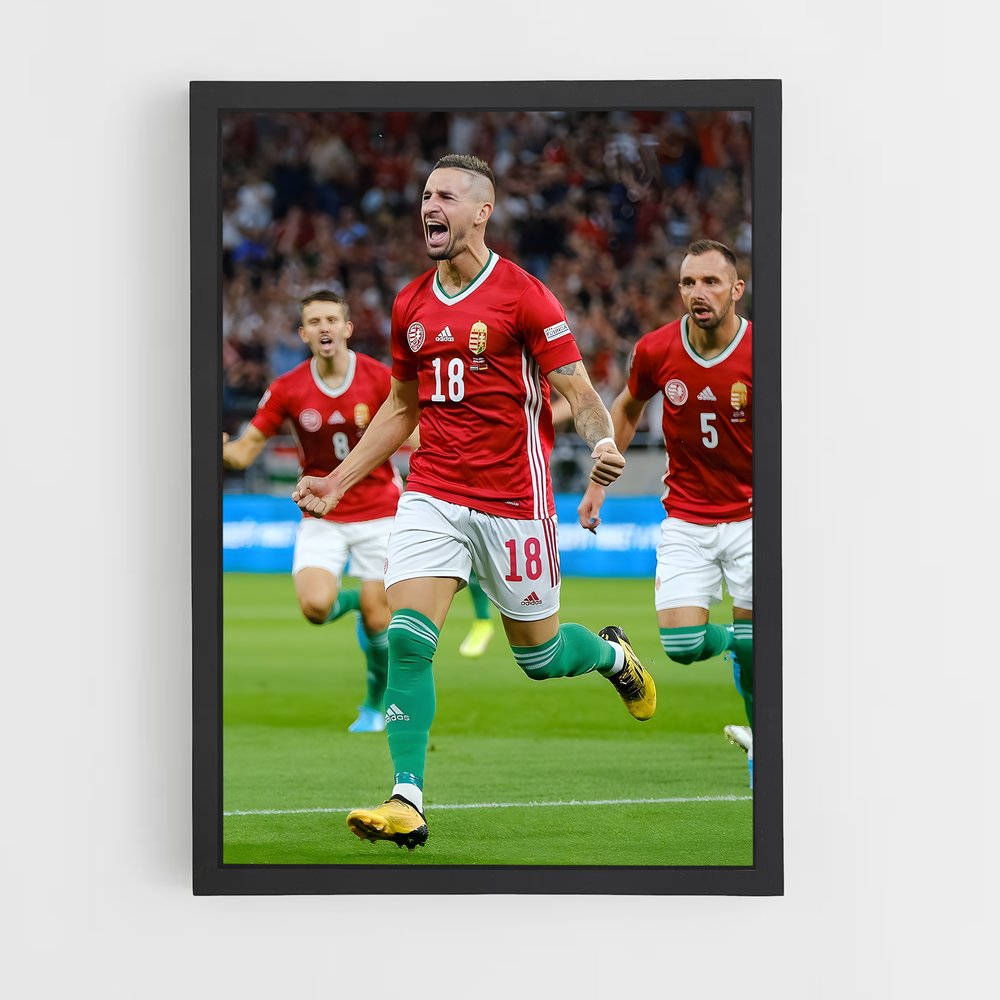 ap-hungary national football team-8 cadre Noir