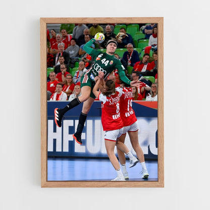 ap-hungary national handball team-1 cadre Bois clair