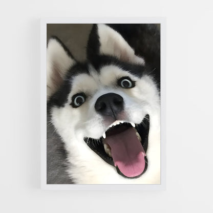 ap-husky-3 cadre Blanc