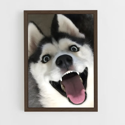 ap-husky-3 cadre Bois foncé