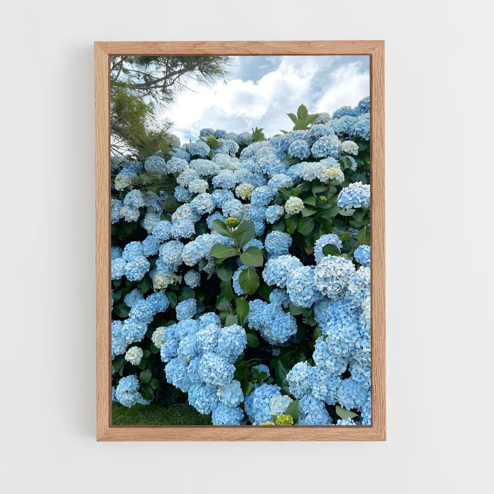 ap-hydrangea-1 cadre Bois clair