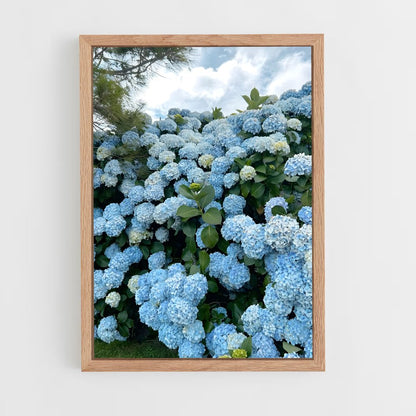 ap-hydrangea-1 cadre Bois clair