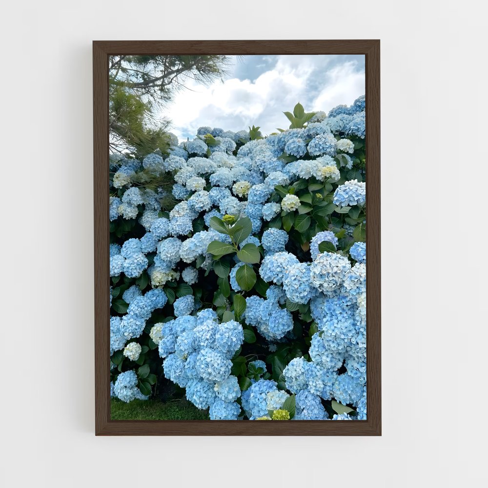 ap-hydrangea-1 cadre Bois foncé