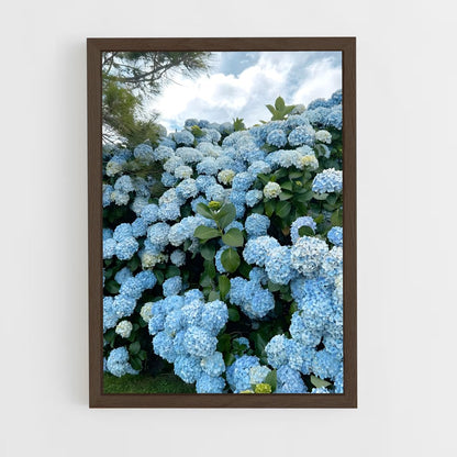 ap-hydrangea-1 cadre Bois foncé