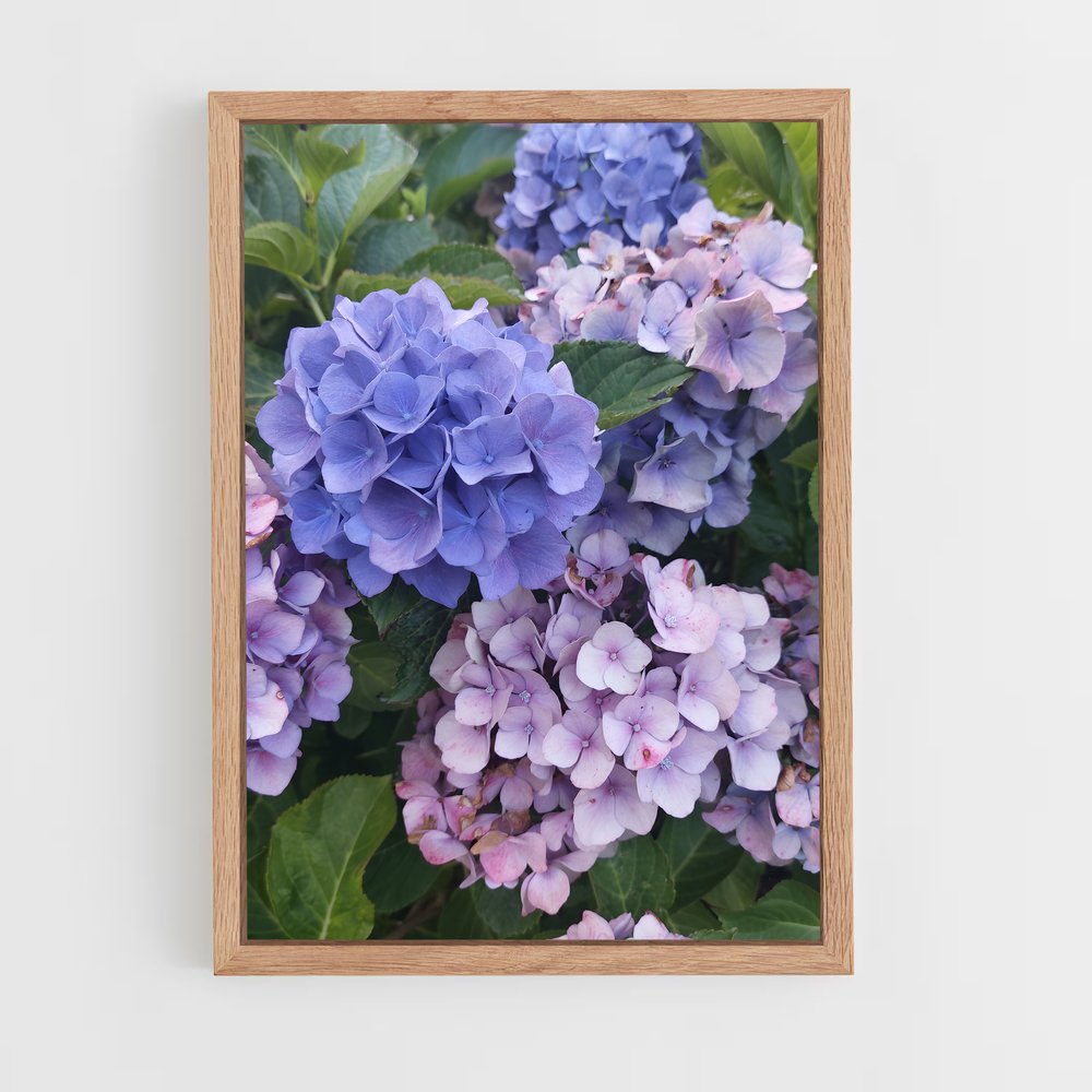 ap-hydrangea-2 cadre Bois clair