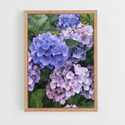 ap-hydrangea-2 cadre Bois clair