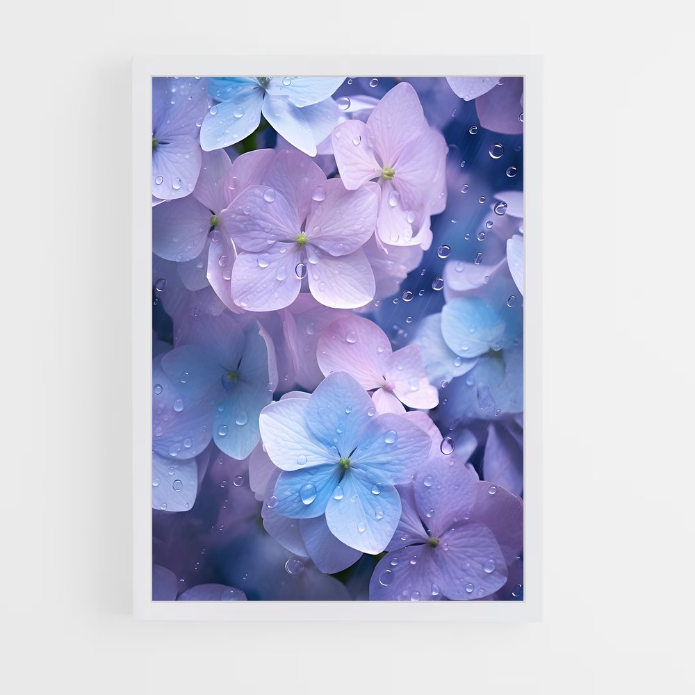 ap-hydrangea-3 cadre Blanc