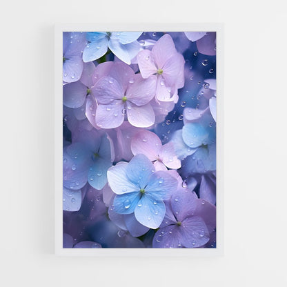 ap-hydrangea-3 cadre Blanc