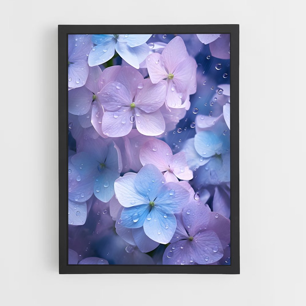 ap-hydrangea-3 cadre Noir