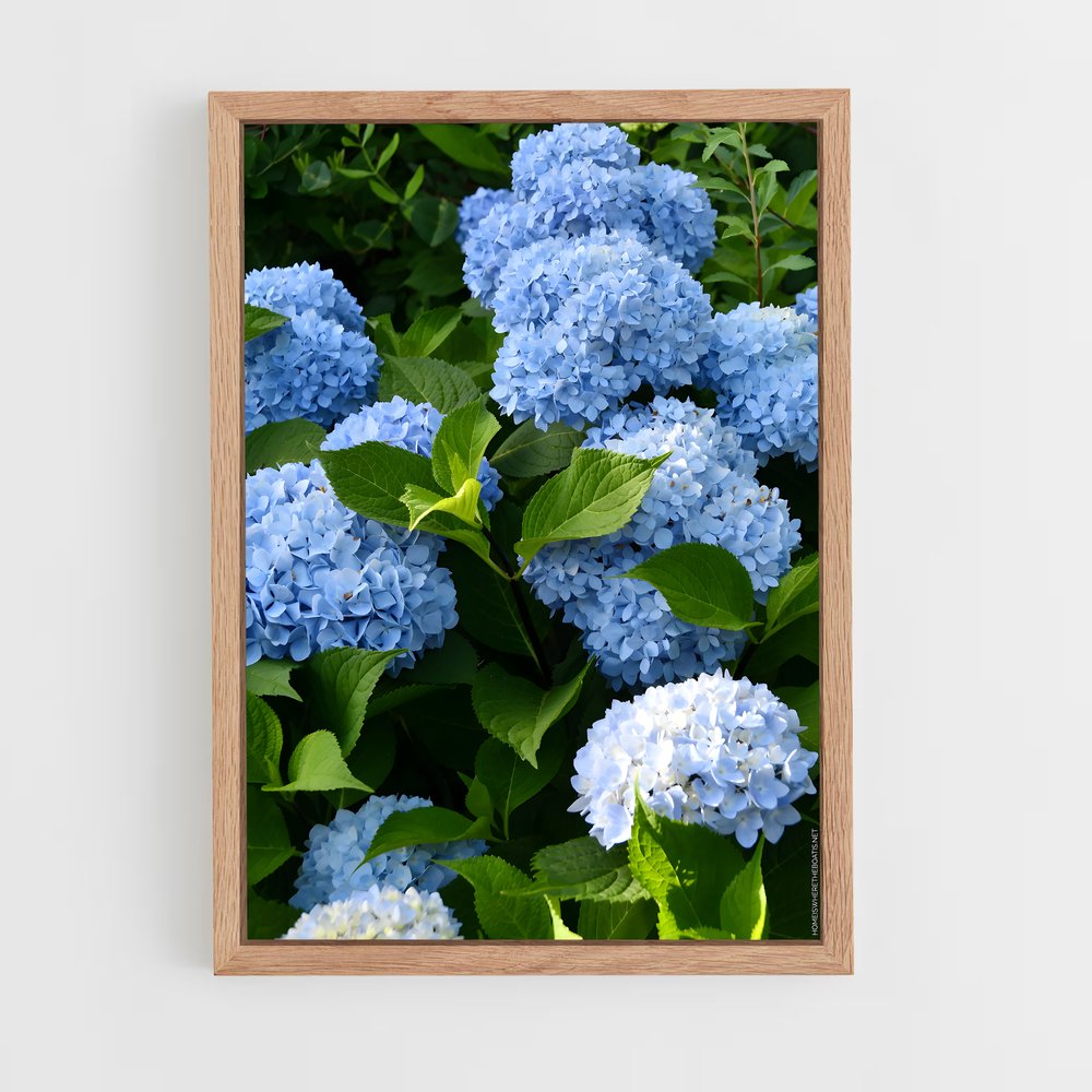 ap-hydrangea-4 cadre Bois clair