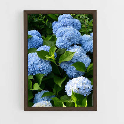 ap-hydrangea-4 cadre Bois foncé