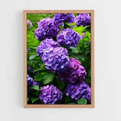 ap-hydrangea-5 cadre Bois clair
