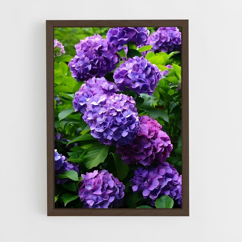 ap-hydrangea-5 cadre Bois foncé