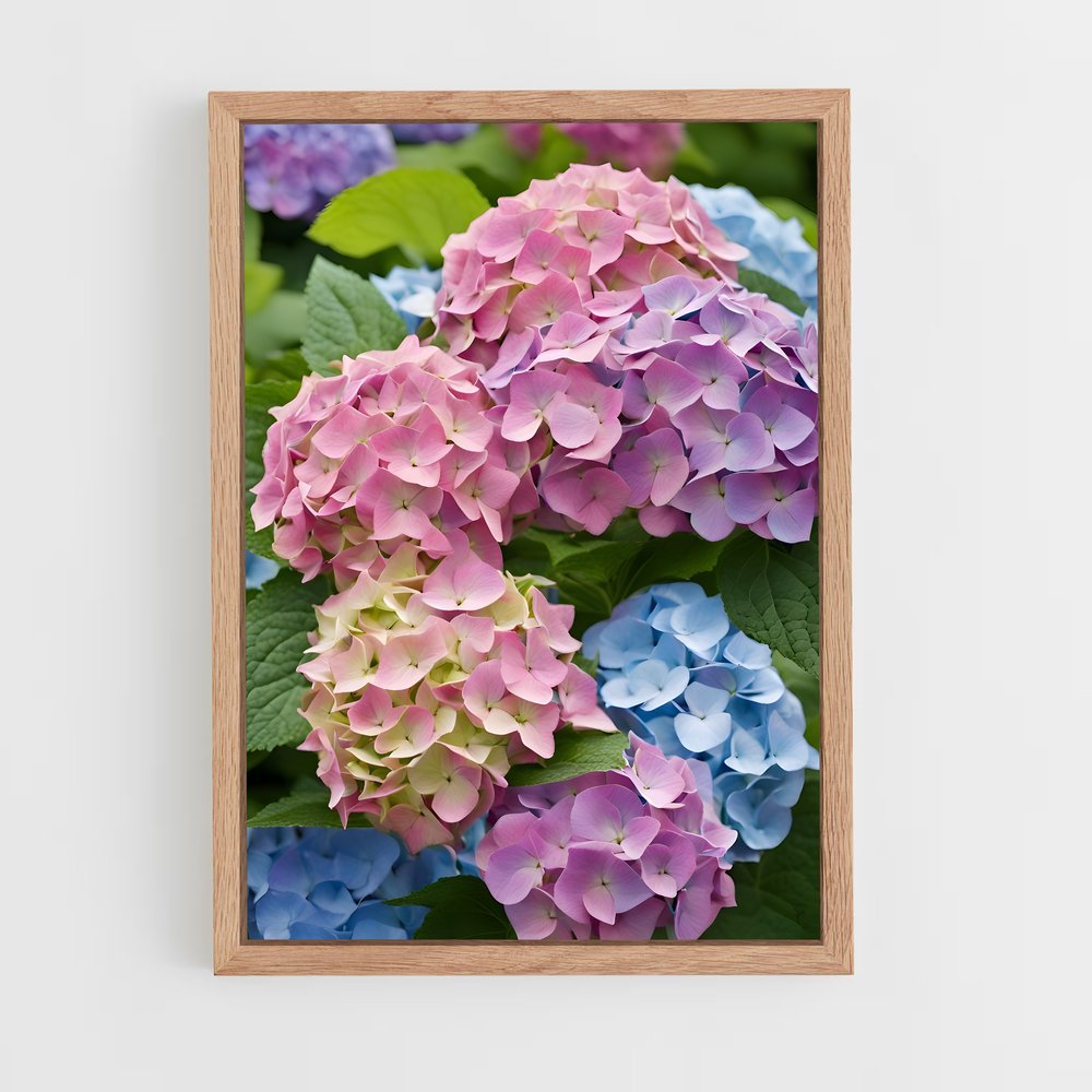 ap-hydrangea-6 cadre Bois clair