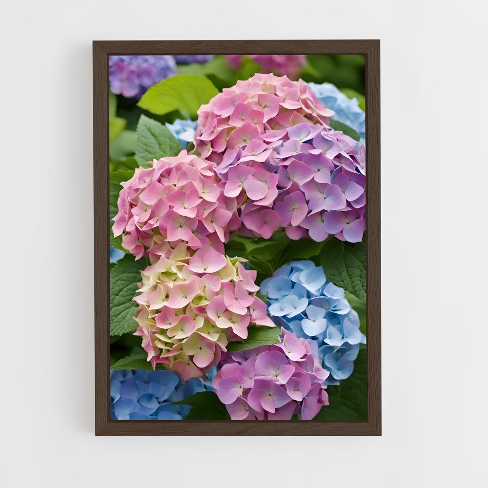 ap-hydrangea-6 cadre Bois foncé