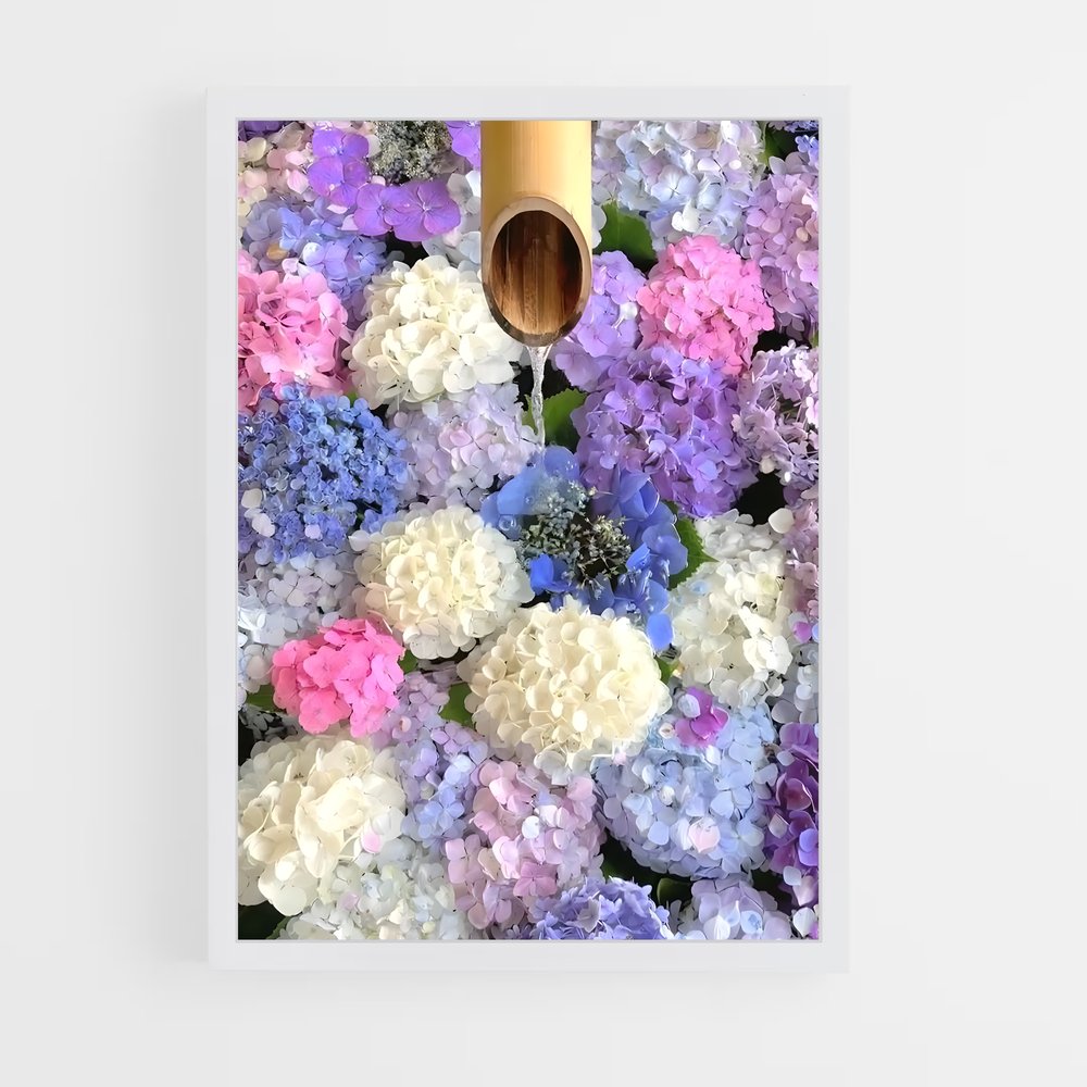 ap-hydrangea-8 cadre Blanc