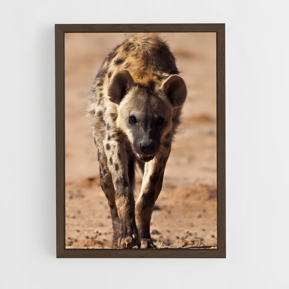 ap-hyena-1 cadre Bois foncé