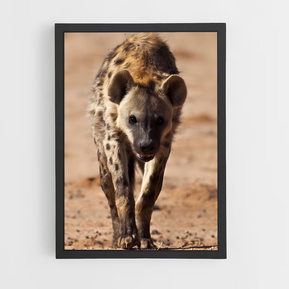 ap-hyena-1 cadre Noir