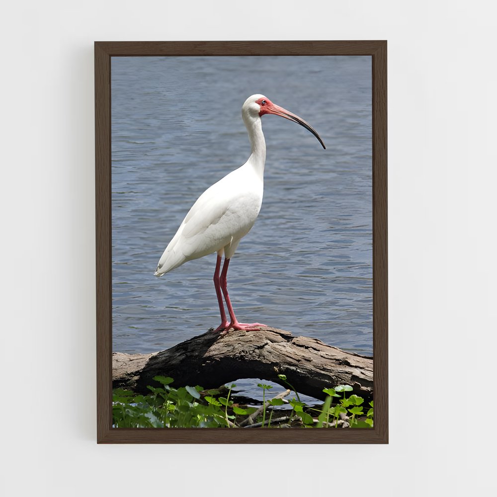 ap-ibis-5 cadre Bois foncé