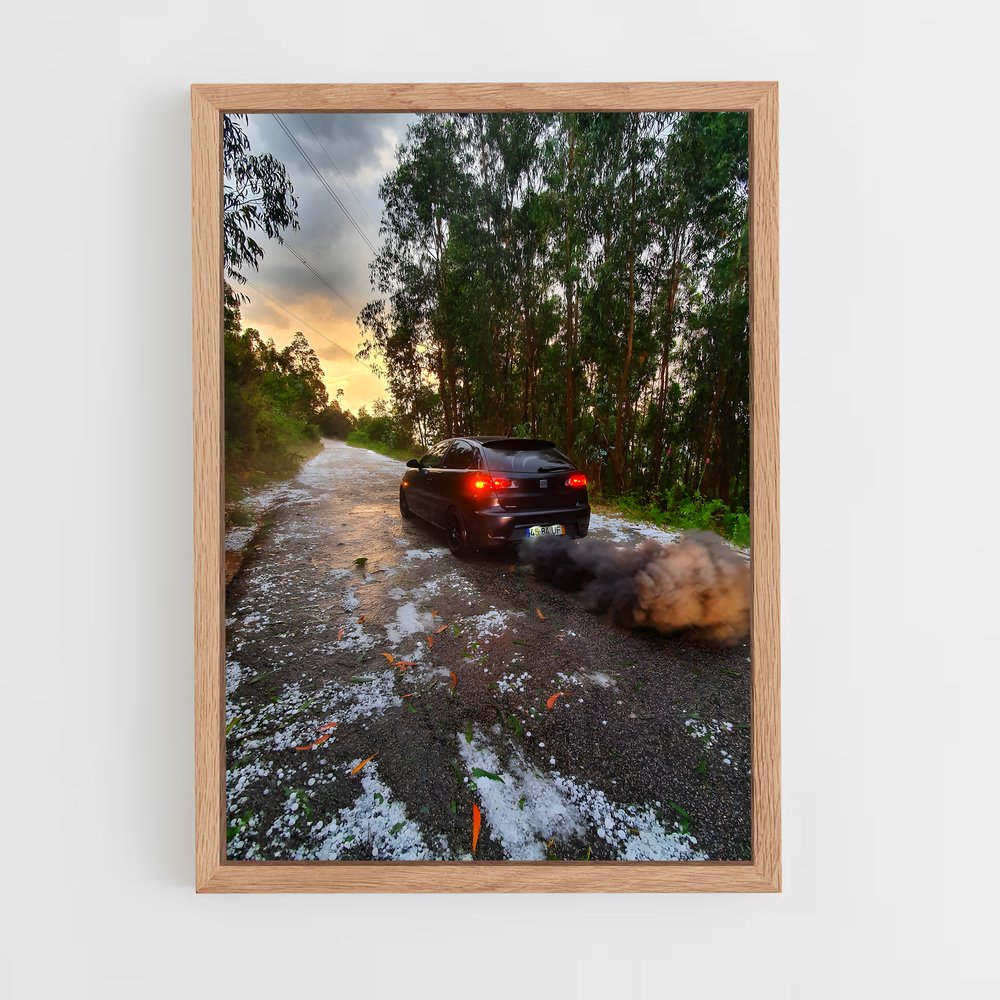 ap-ibiza cupra-2 cadre Bois clair