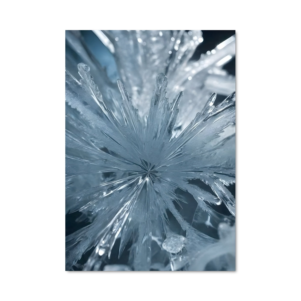 Poster Flocon Mystique