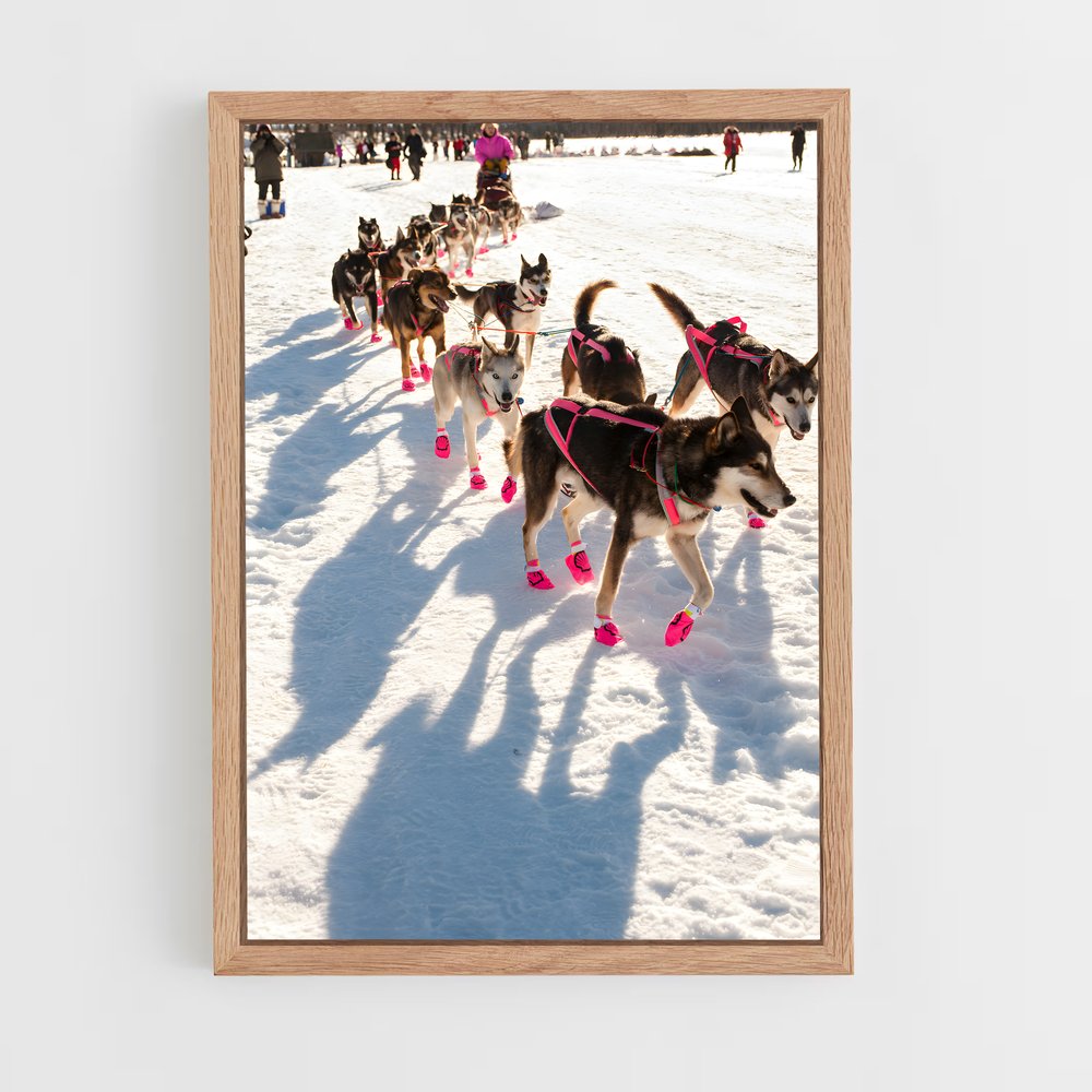 ap-iditarod-3 cadre Bois clair