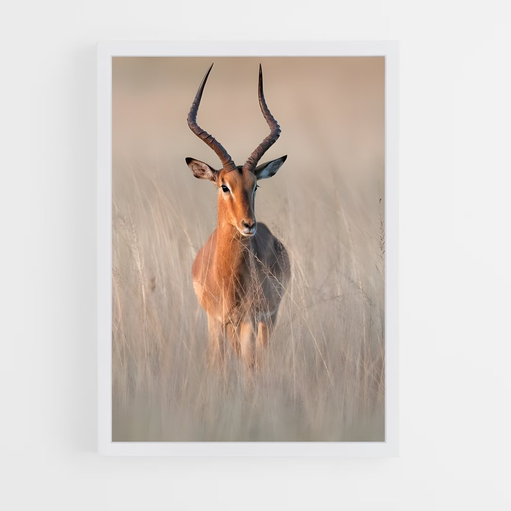 ap-impala-5 cadre Blanc