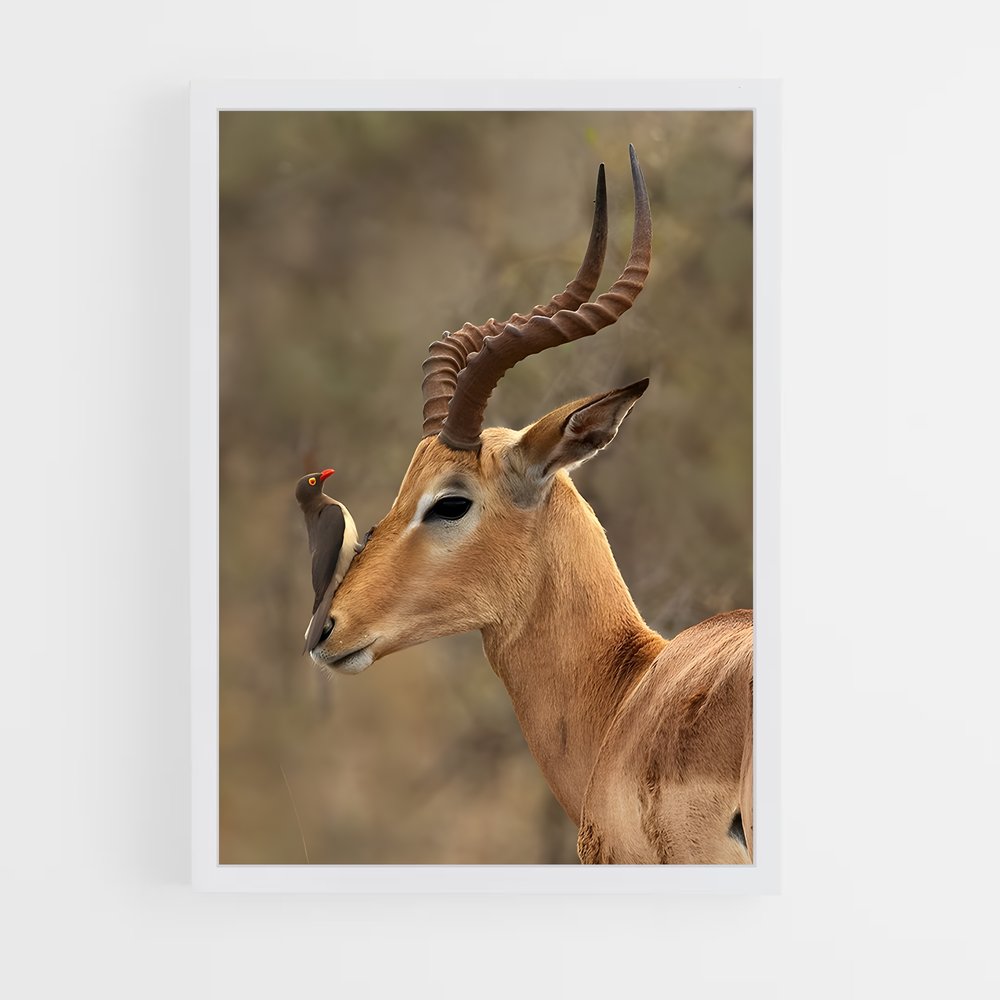 ap-impala-7 cadre Blanc