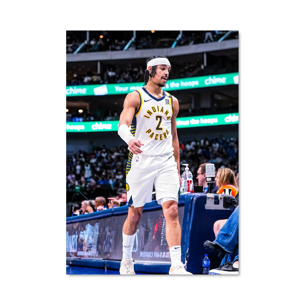 Poster La Garde des Pacers