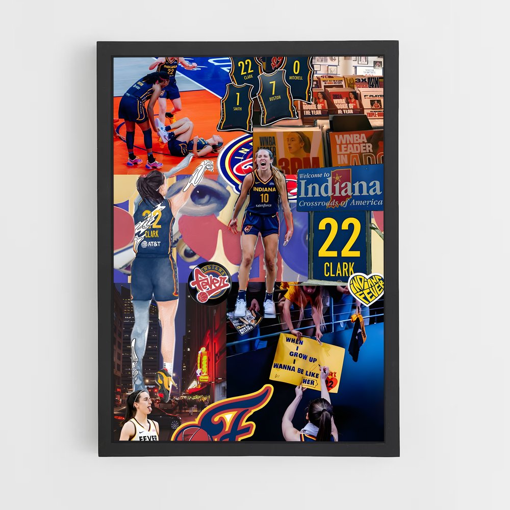ap-indiana fever-4 cadre Noir