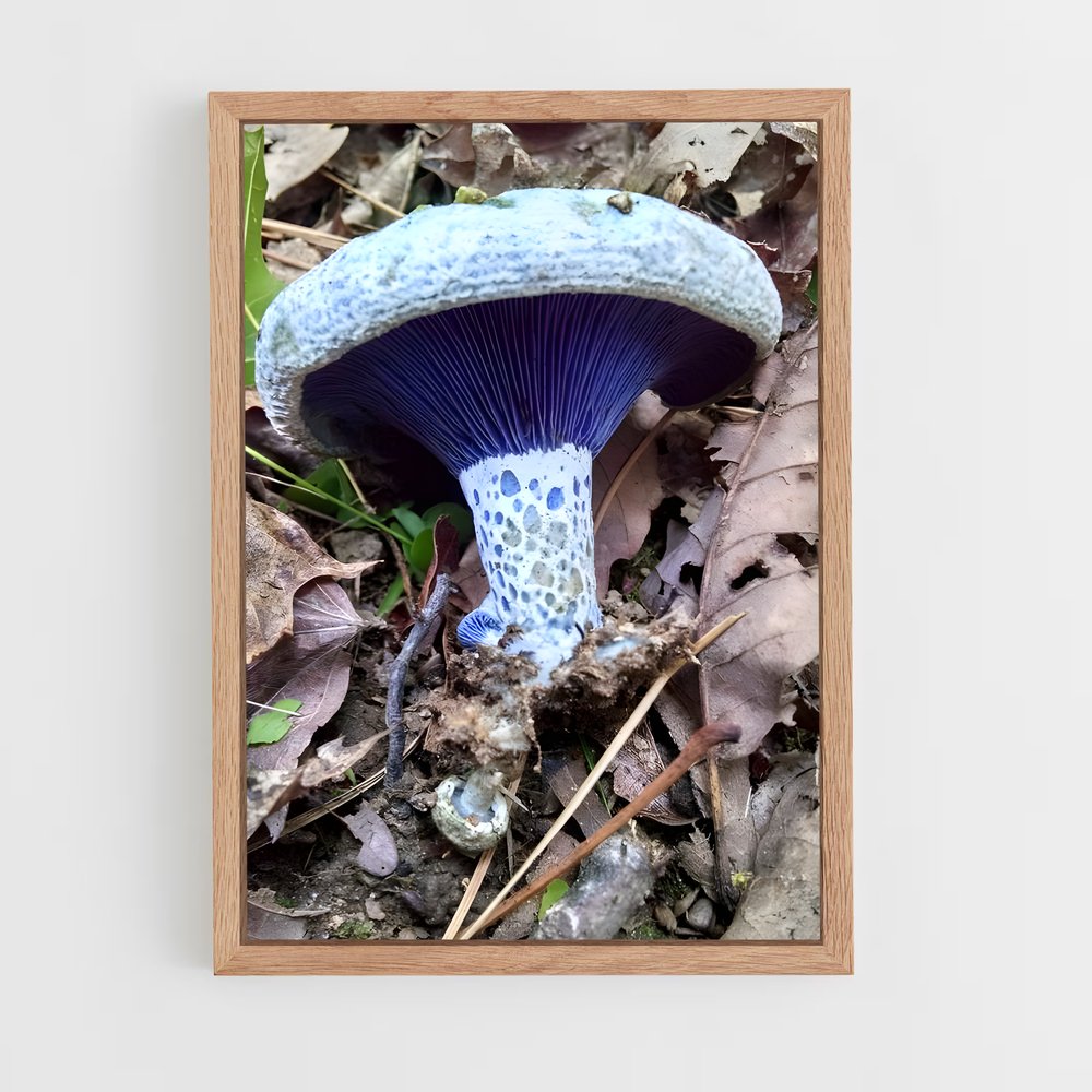 ap-indigo milk cap-1 cadre Bois clair