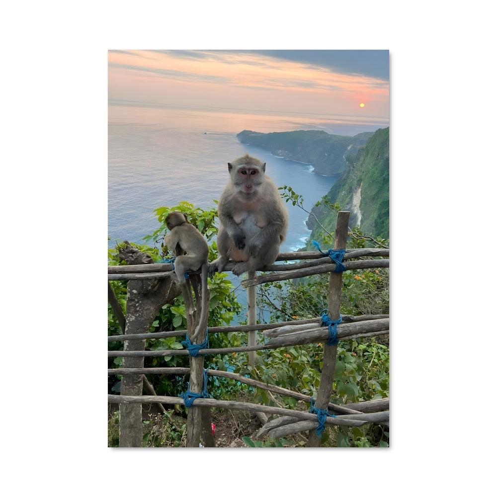 Poster Le Singe et l'Océan