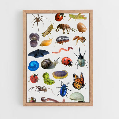 ap-insects-1 cadre Bois clair