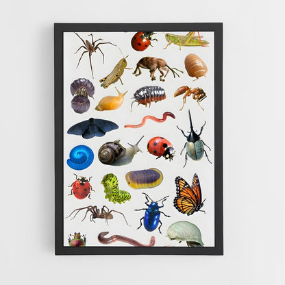 ap-insects-1 cadre Noir