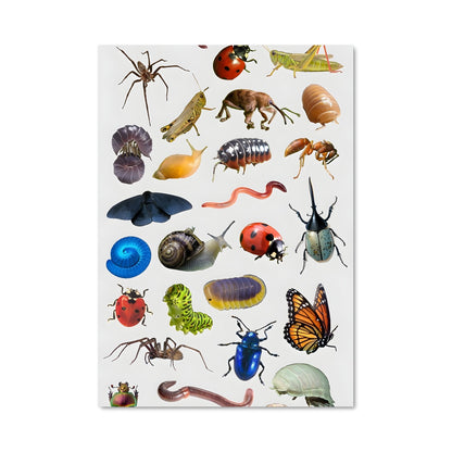 Poster La Symphonie des Insectes