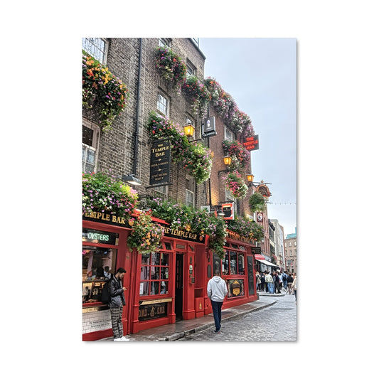 Poster Rue de Dublin