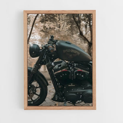 ap-iron 883-4 cadre Bois clair
