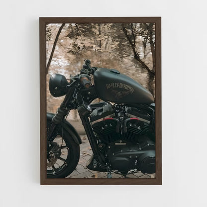 ap-iron 883-4 cadre Bois foncé