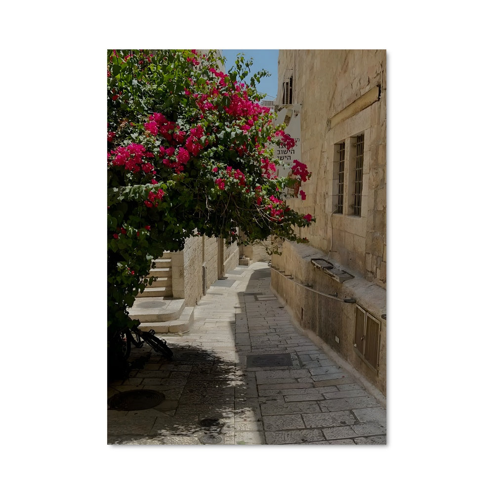 Poster Rue Enchantée