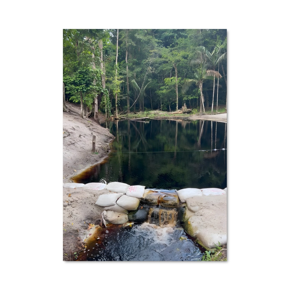 Poster Reflet de la Jungle