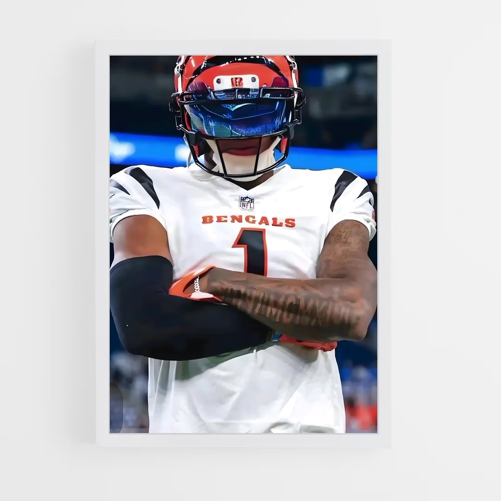 ap-ja'marr chase-3 cadre Blanc