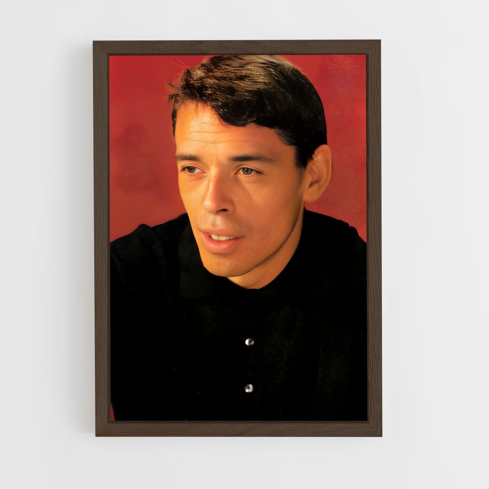 ap-jacques brel-6 cadre Bois foncé
