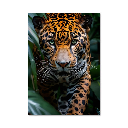 Poster Jaguar dans la Jungle