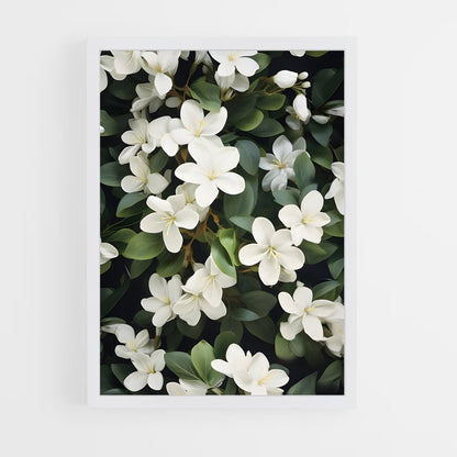 ap-jasmine-1 cadre Blanc