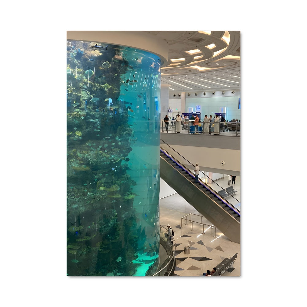 Poster L'Aquarium du Nouveau Terminal