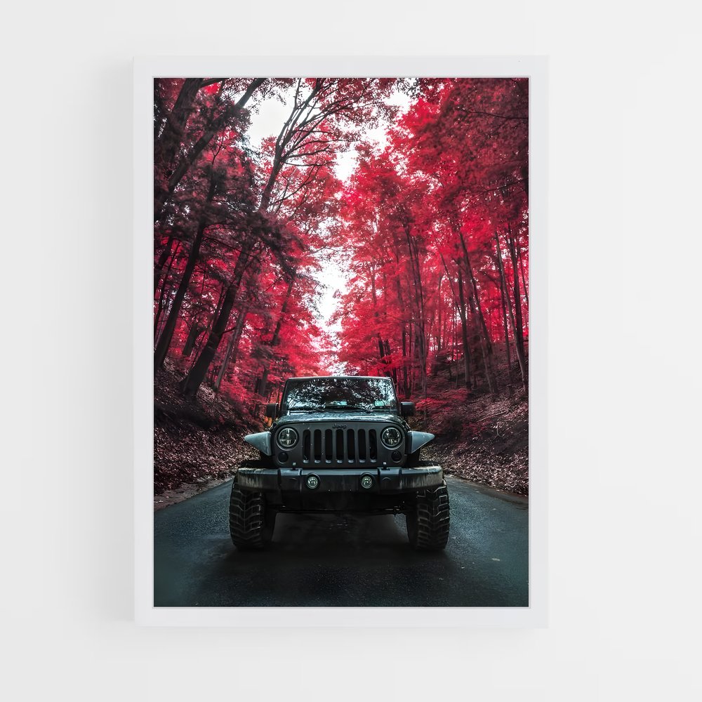 ap-jeep wrangler rubicon-4 cadre Blanc