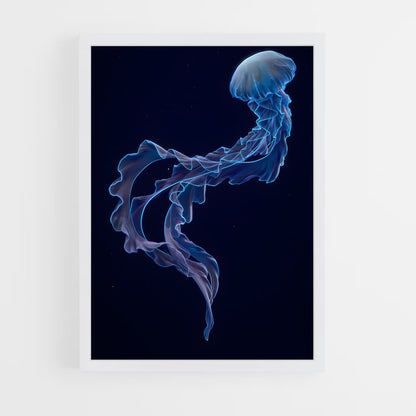 ap-jellyfish-1 cadre Blanc